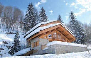 ski